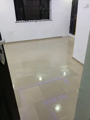Before and After Cleaning