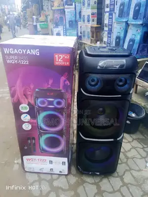 Professional Double Public Address System