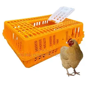 Chicken Transport Crate With Anti-Slip Floor