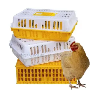 Chicken Transport Crate With Extra Padding For Delicate Bird