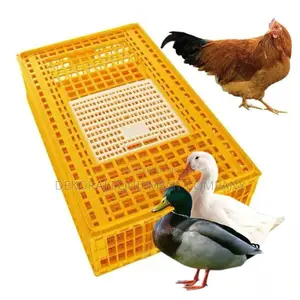 Transparent Chicken Transport Crate for Easy Monitoring
