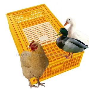 Compact Chicken Transport Crate For Limited Space