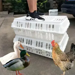 Customizable Chicken Transport Crate for Unique Needs