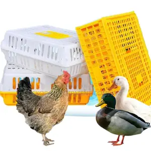 High-Visibility Chicken Transport Crate,Layer Cage Seller