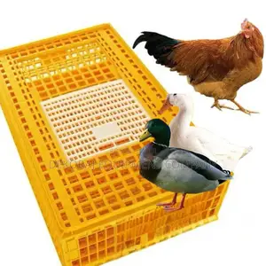 Chicken Transport Crate With Ergonomic Handles,Layers Cage