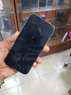 Apple iPhone 13 Pro Max 256 GB White