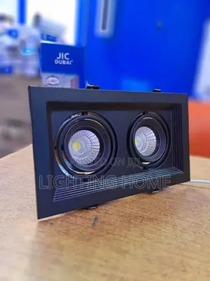2in1 Spot Light