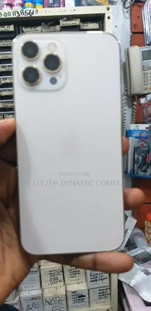 iPhone 12 Pro Max Complete Casing With Icloud