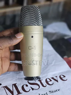 Behringa C-1 Condenser Vocal Studio Microphone