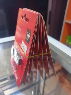 Sandisk Flash Drive