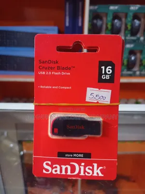 Sandisk Flash Drive