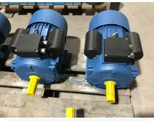 Electric Motor