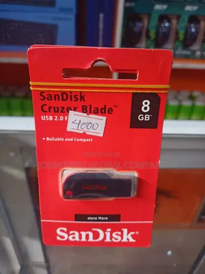 Sandisk Flash Drive