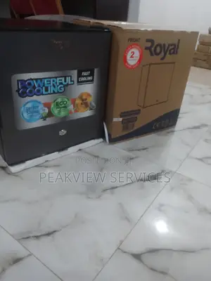 Energy Saving Royal Bedside 45l Refrigerator