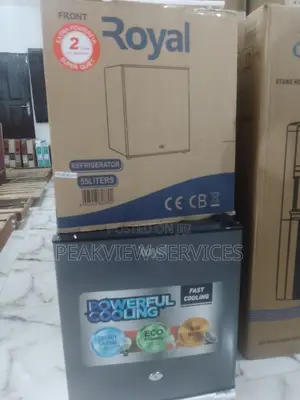 The Fast Cooling Royal Bedside 45l Refrigerator