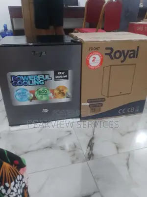 Eco Friendly Royal Bedside 45l Refrigerator