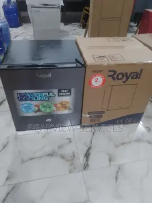 The Powerful Royal Bedside 45l Refrigerator