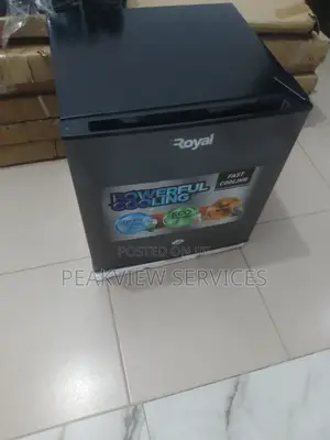 The Portable Royal Bedside 45l Refrigerator