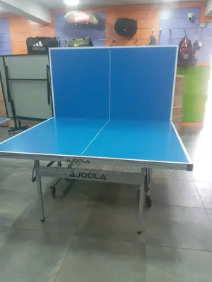 Outdoor Table Tennis