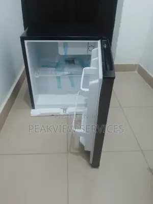 Best Amazing 45l Royal Bedside Refrigerator