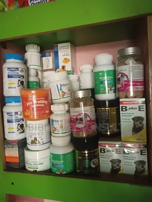 Multivitamin Supplement for Dog and Cat