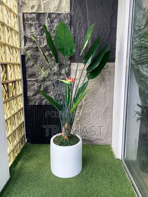 Artificial Plants for Interior and Exterior Decoration