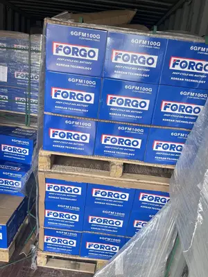 100A 12v Forgo Batteries