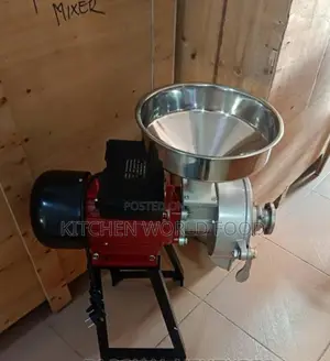 Industrial Wet and Dry Grinder