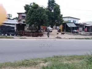 House for Sale on One and Half Plot of Land
