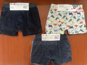 Boys Boxers(2,3,5pcs Set)