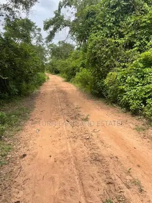 100 Acres of Land for Sale in Odeda Suitable for Oilpalm
