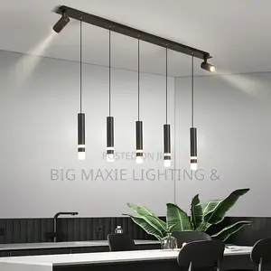 Modern LED Pendant Light With Spotlight