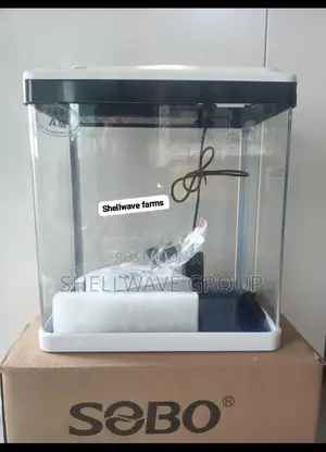 Aquarium With Inbuilt Filter and Light