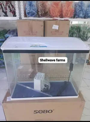 Aquarium With Inbuilt Filter and Light