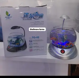 Aquarium Bowl With Decoration