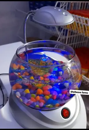 Aquarium Bowl With Decoration