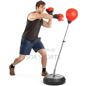 Boxing Speed Ball With Gloves