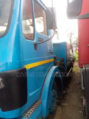 Benz Hiyabu Truck