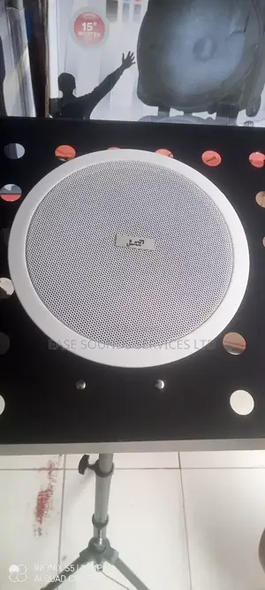 6watts Ceiling Speaker