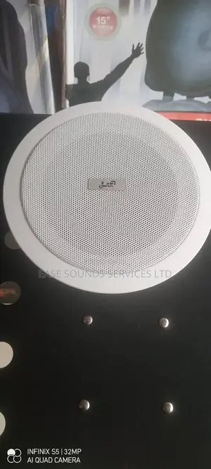 6watts Ceiling Speaker