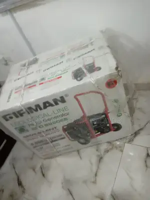 Fast Selling ECO=8990ES Firman Generator 