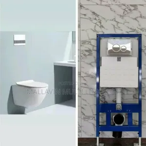 Wall Hung Toilet Seats and Concealed Tank