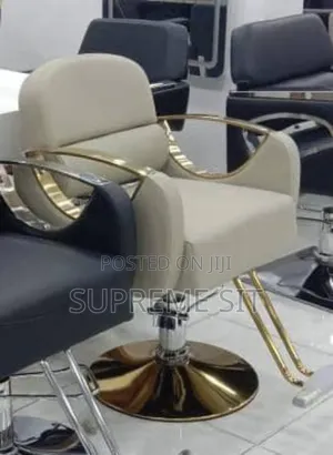 Luxury Salon Chair.
