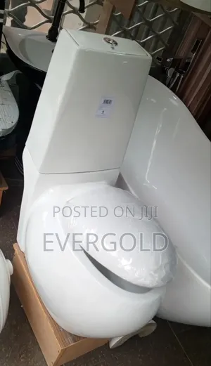 Egg Shape Executive Water Closet With Wash Hand Basin