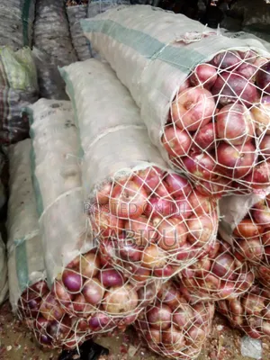Fresh Onions