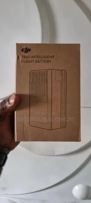 Dji Tb65 Intelligent Flight Battery for M300/M350 RTK
