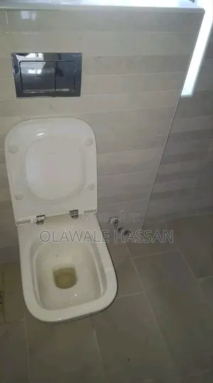 Plumber Service