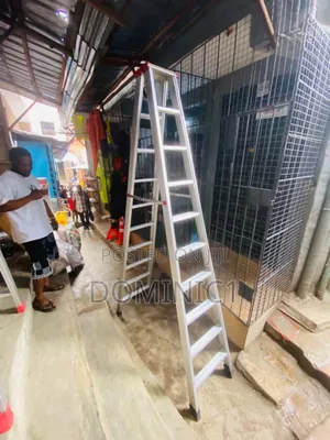 Ladder Aluminum 10 Step Heavy Duty