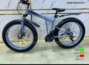 Newly Imported Bicycle