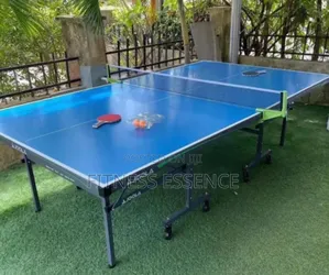 Commercial Outdoor Table Tennis